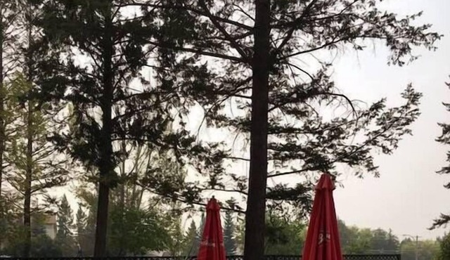 Cozy Equipped 1BR Condo Minutes from Hot Springs
