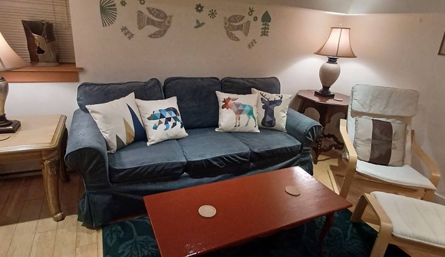 COZY GARDEN LEVEL STUDIO IN HERITAGE HOME