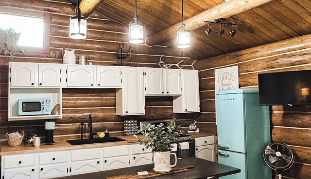 Cozy Log Cabin Getaway with Scenic Mountain