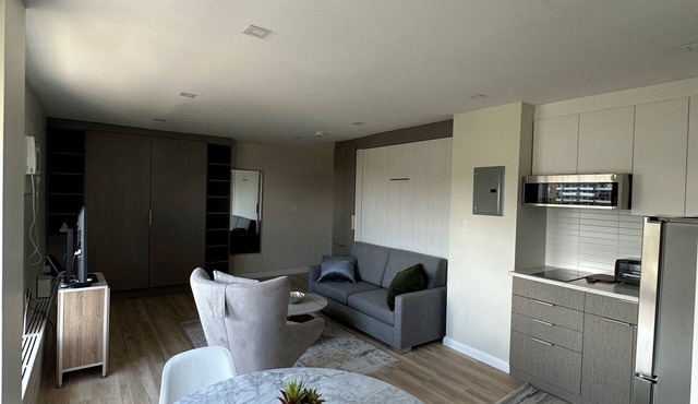 Cozy Modern Centretown Ottawa Studio Near U of O, Restaurants, and Amenities