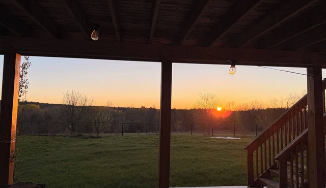Cozy Nest with Comfort, friendly Beautiful Backyard, close to lake, hiking trial