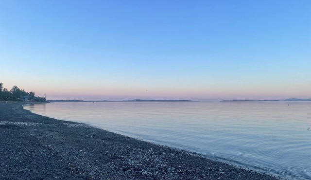 Cozy Ocean view home one block from Cordova Bay beach