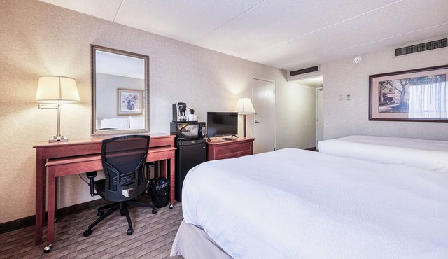 Cozy Rooms At Amenida Residences + Hotel - Pet Friendly