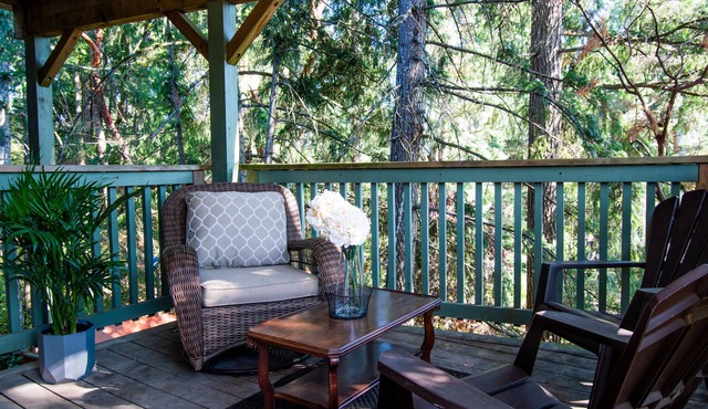 Cozy suite in walking distance to nature trails and Thetis Lake