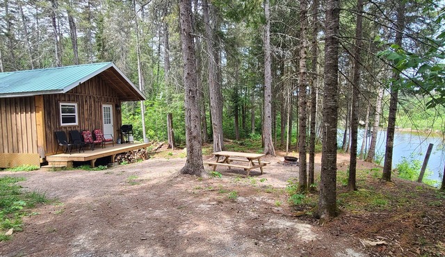 Cozy waterfront cabin