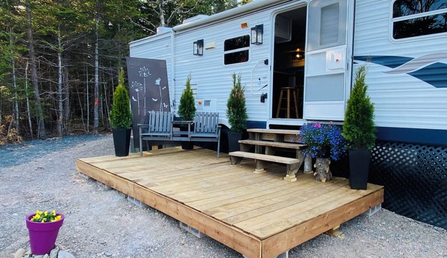Cozy waterfront property nestled amongst spruce trees. Pet friendly.