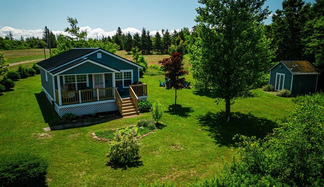 Cozy Waterfront Cottage on Winter Bay!