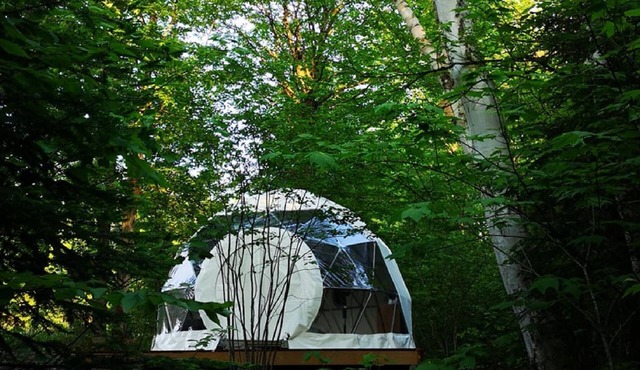 Dôme Forestier: Glamping, nature, stars, comfort, shared kitchen, CITQ304716.