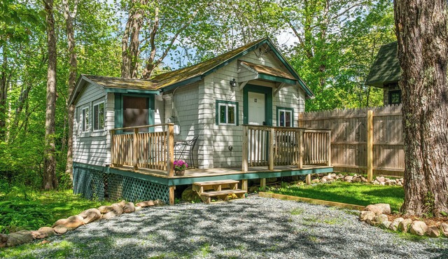 Davis Outpost: Pet-Friendly Quiet Cabin w/AC. Screened Sunroom. Walk to Trails in Mount Desert