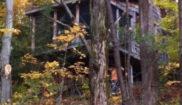 Deluxe Tree House 1 Hour from Toronto