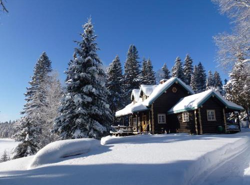 Domaine le Bostonnais - Le Village en Bois Rond