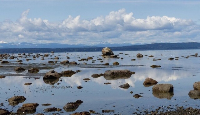 Eagletree Cottage -Secluded waterfront tranquility with spectacular view