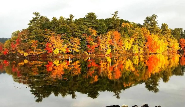 Edgewater Retreat on Little Sebago Lake - Lakefront w/Sauna & EV Charger