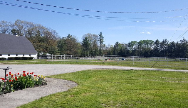 Equestrian Sanctuary. Exceptional one level luxurious living.