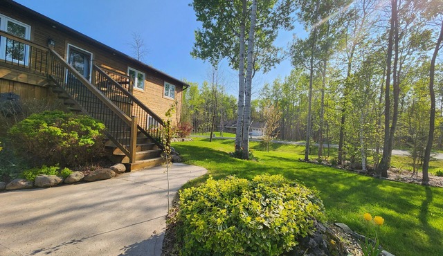 Experience four seasons of fun at Black Bear Lodge!