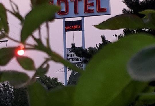 Falcon Nest Motel