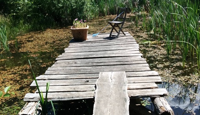 Family Friendly Rancher on Galiano Island, 5minutes to Montague Marine Park