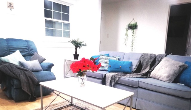 Fantastic renovated whole house near the border