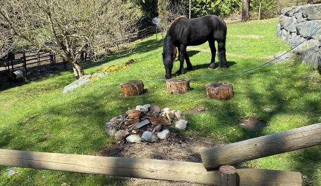 Farm Therapy in a beautiful setting. Pet friendly.