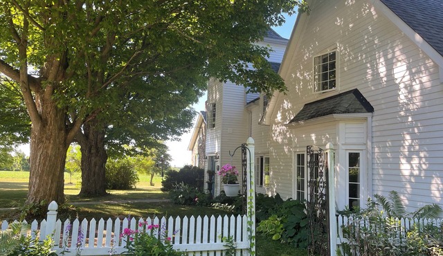 Finchstone Guest House, near St. Anne's Spa
