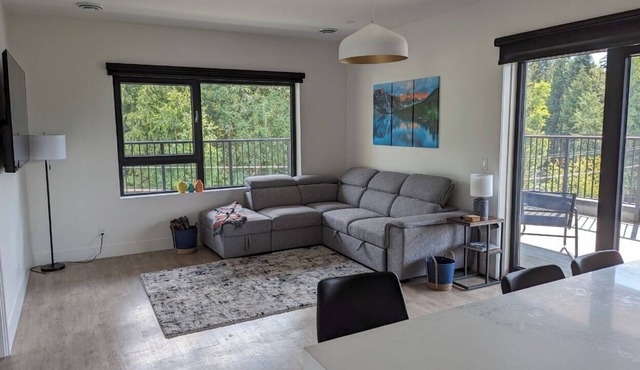 Furnished, 3 month min 3 Bd PENTHOUSE, deck, hot tub, Mack Plaza