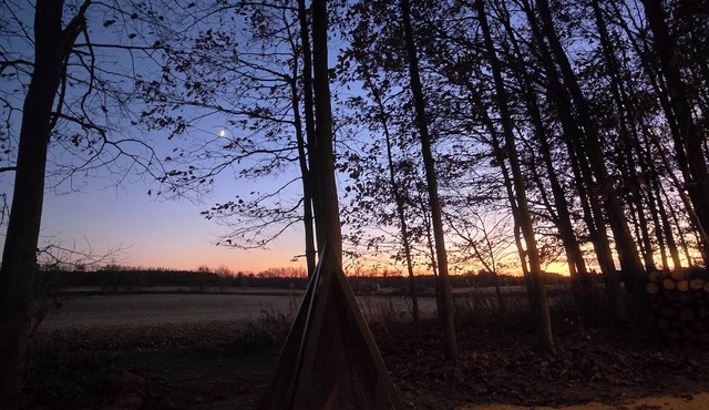 Glamping by Lavender Farm, Brewery, Mono Cliffs, Hockley Valley