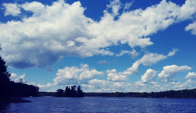 Gorgeous lakefront 1 level open-concept cottage, decks, docks, peace & quiet