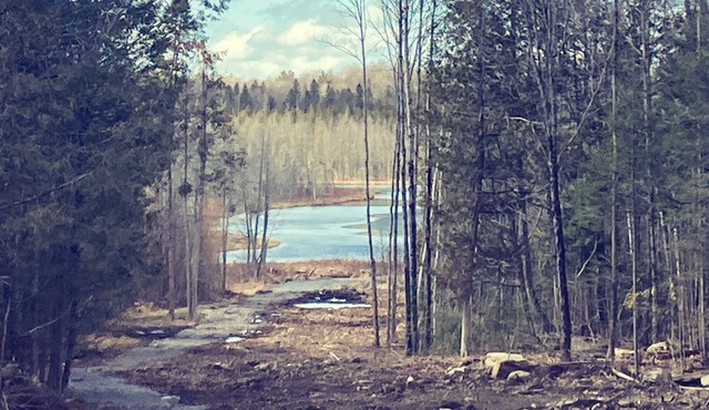 Gorgeous Lakehouse- sitting on 7 Acres - Near Trails- WiFi- Fireplace