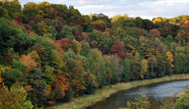 Grand River.Grand View executive condo Downtown Paris
