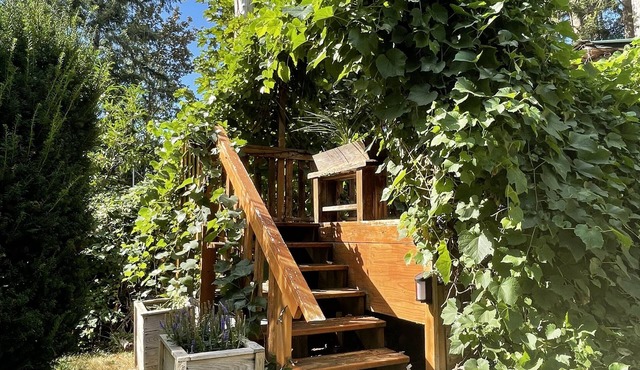 Grapevine Cottage - Rustic tiny self-contained cottage and deck for single guest