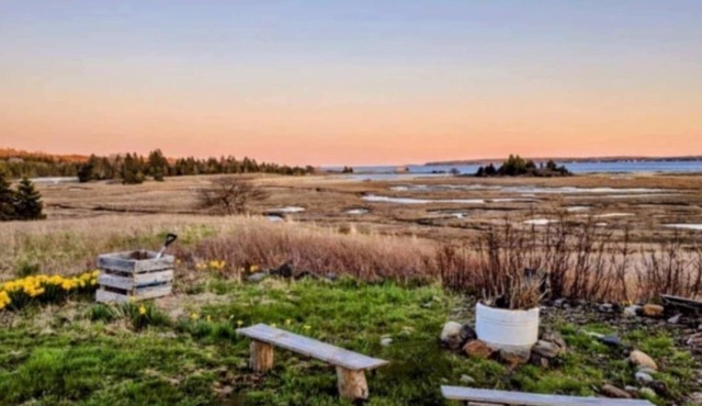 Herons, deer and ocean views! Only 2 kms from downtown Lunenburg! in Lunenburg