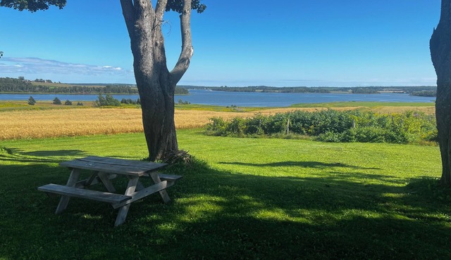 Historic 4-bedroom farm and vineyard on 100 acres with waterfront