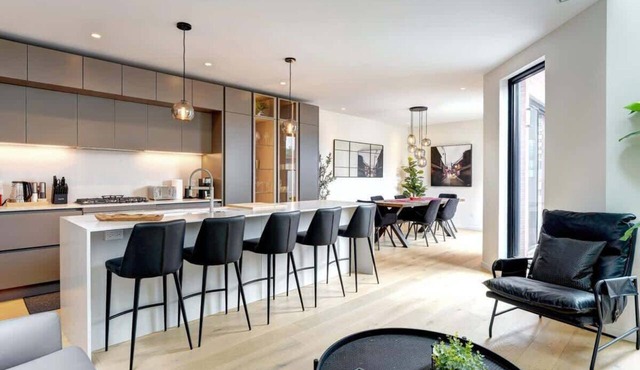 Historic Charm Overlooking Parc Lafontaine!