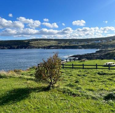 Home From Away - Year Round Oceanview Home Pouch Cove NFLD