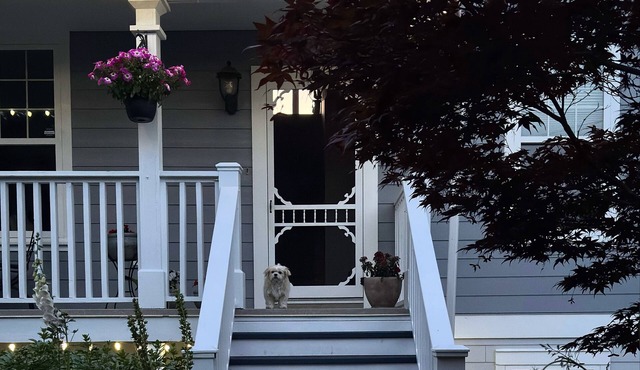 In the Old City Quarter. Dog friendly, 2 bedroom garden suite with fireplace.