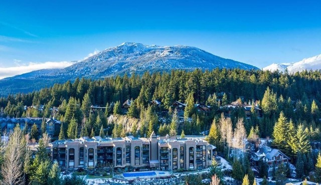Ironwoods Blueberry Hill by Whistler VR