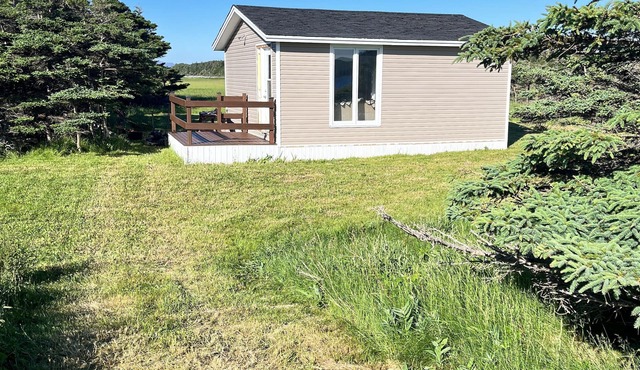 Island-getaways cottage rental and cod fishing. We do island tours upon estuary