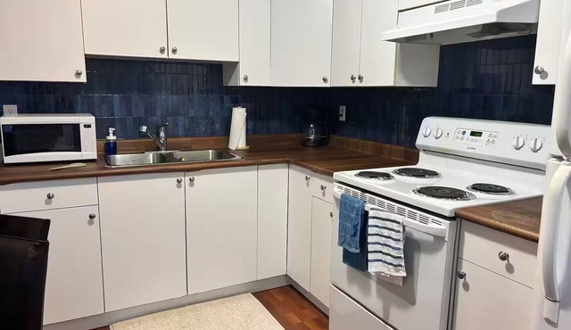 Ivy Suite - 1 Bedroom private entrance basement suite in Clayton Heights