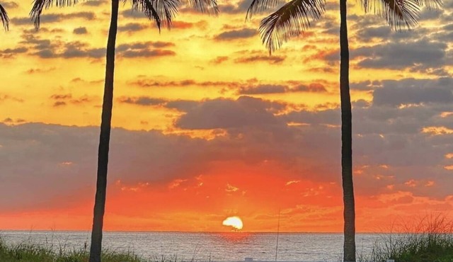 Jan & April Available to Enjoy the Beach, Sunshine and Warm Weather! in Pompano Beach