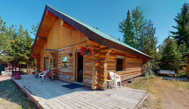 Lakefront wilderness resort cabin with deck, full kitchen, & internet