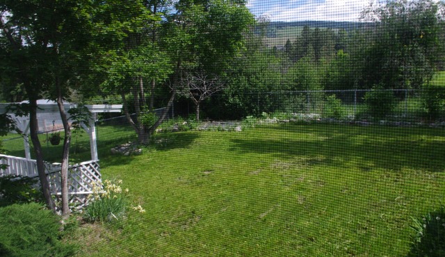 Large 4+ bdrm Home, Pet Friendly Games room kid friendly, 2 Kitchens.