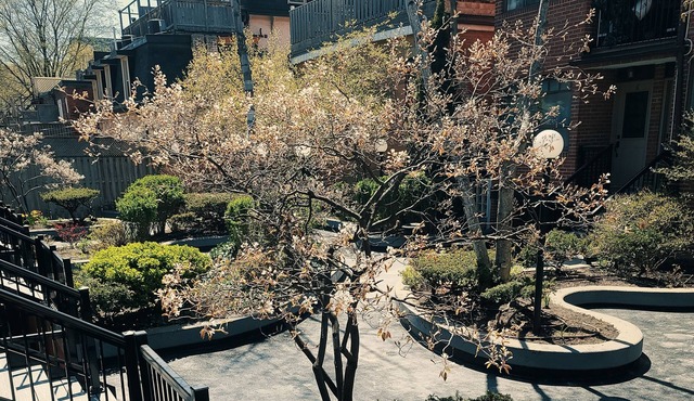 Large downtown Toronto townhouse. Perfect for large groups and families!
