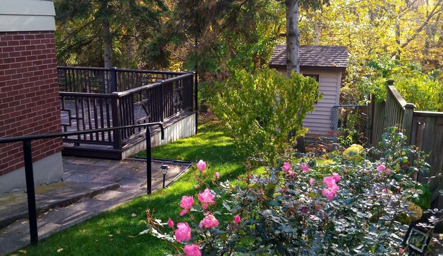 Large, sunny, 2-room suite in private home near lake, beach, shopping, bus.