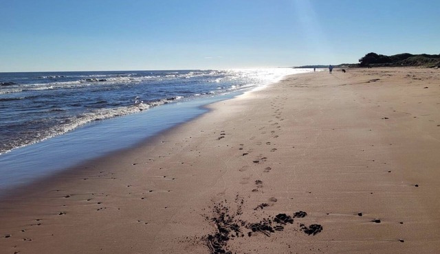 Little Haven Cottage - Ocean view 2 bedroom cottage with beach access.