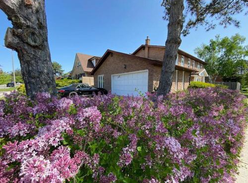 Lovely house in a nice community
