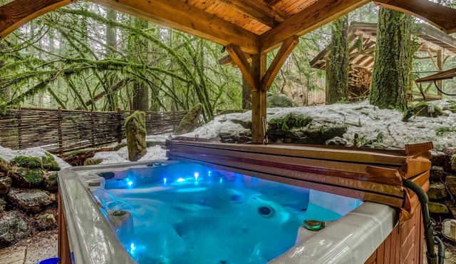 Luxe compound with private sauna, hot tub, rec house & fireplace in Rhododendron