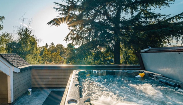 Luxurious Mansion With Gym & HotTub - Central West Vancouver