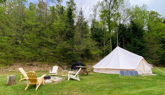 Luxury 22ft Bell Tent | Weslemkoon Lake | Pond and Forest Views | Lake Access