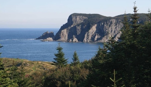 Luxury Home Near La Manche and Cape Broyle with Spectacular Ocean Views