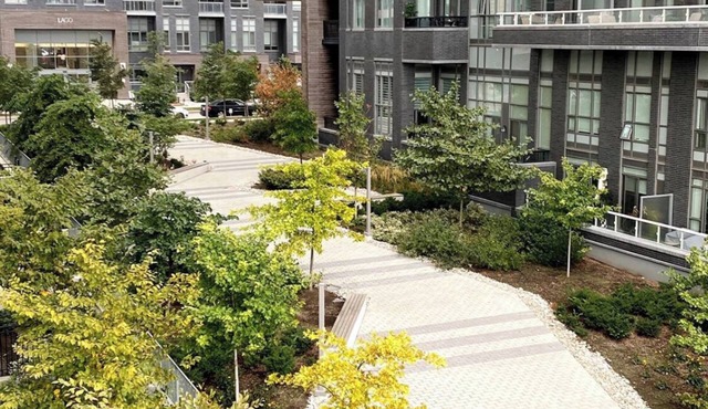 Luxury Lake View Condo | Modern 1 BD | Free Parking